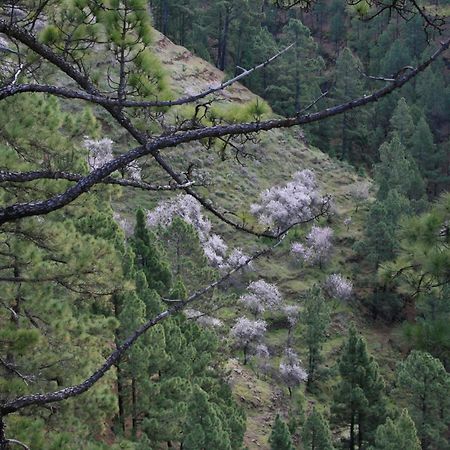Casa Rural El Riachuelo Garafia ภายนอก รูปภาพ
